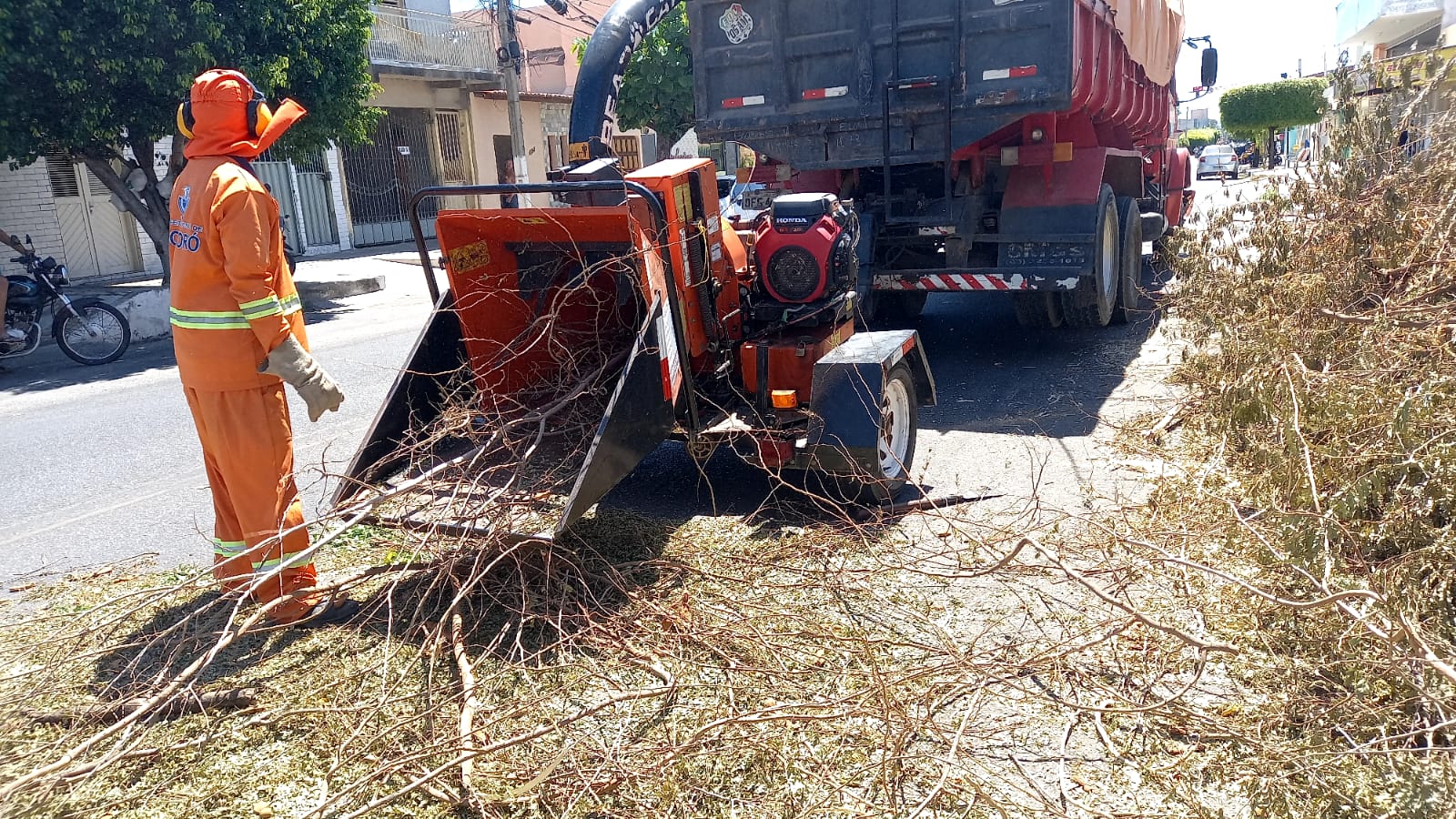 Recolhimento de podas de árvores integra serviços do "Mossoró Limpa"
