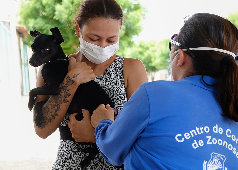 Campanha antirrábica vacinou 3.675 cães e gatos em quatro horas