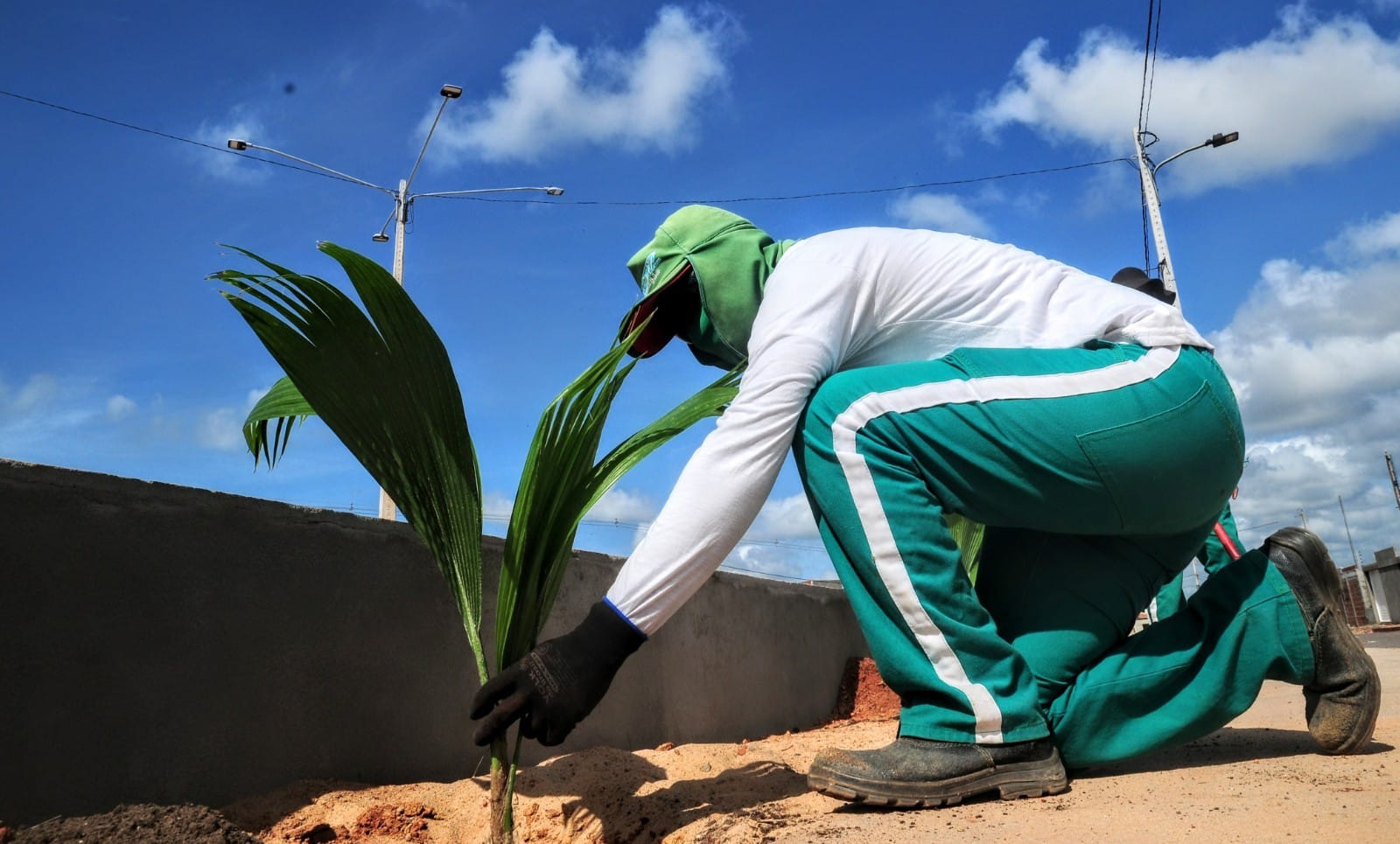 “Mossoró Verde”: Bairro Alto do Sumaré recebe ações de plantio e doações de mudas