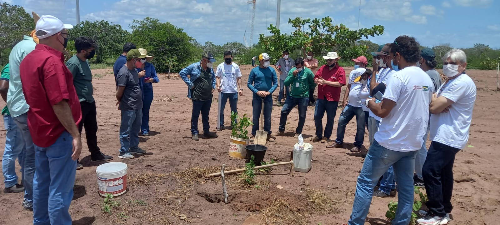 Equipe da SEADRU participa de Dia de Campo sobre plantio de caju na Serra do Mel