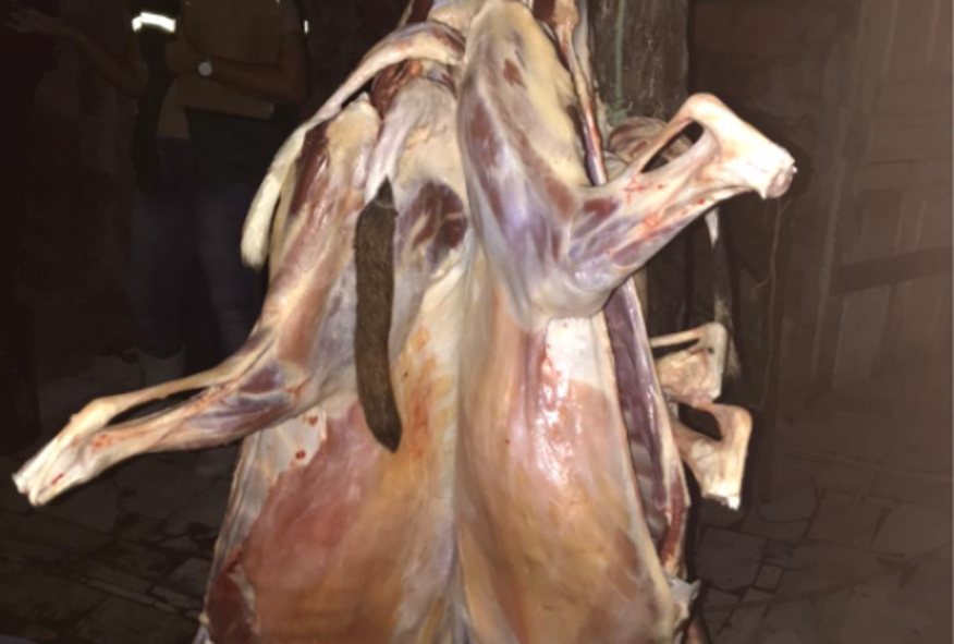 Fiscalização apreende 60 kg de carne imprópria para consumo