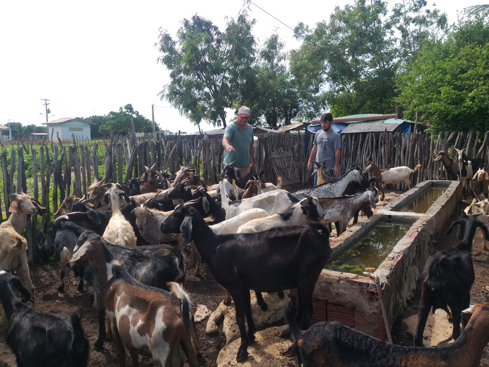 SEADRU leva palestra de sanidade animal para as comunidades de Maracanaú, Cordão de Sombra e Quixaba